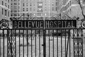 Bellevue Hospital gates